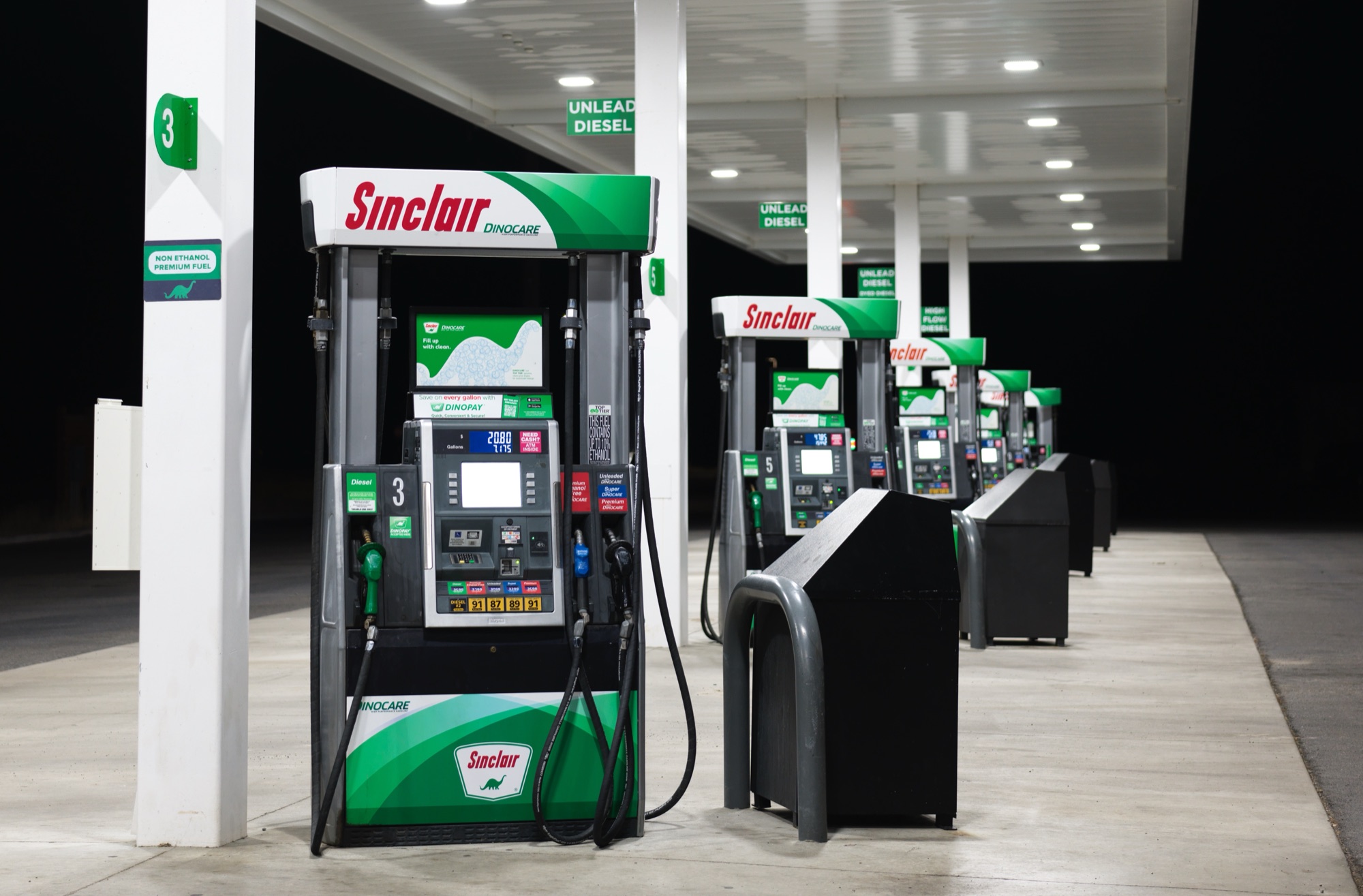 Yellowstone wildlife