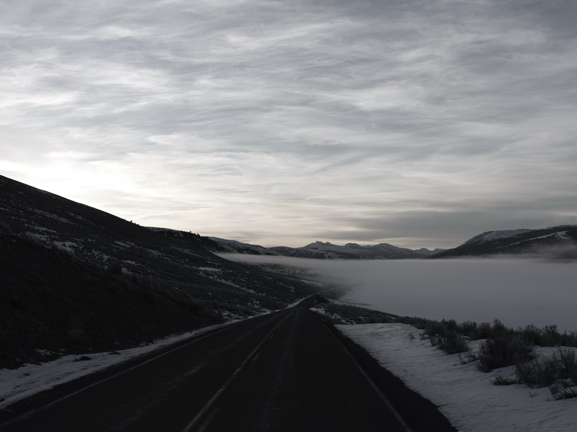 Yellowstone wildlife
